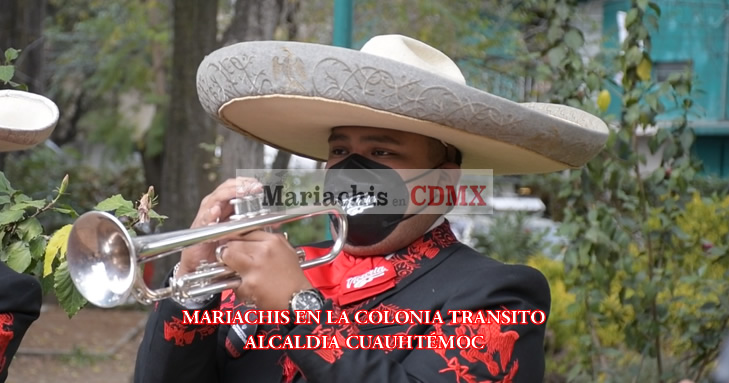 Mariachis Económicos y de Calidad en Colonia Tránsito